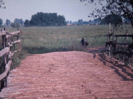 Pont dans la puszta